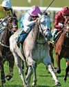 FIELD POINTS TO GUINEAS