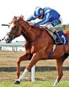 Best bets for today's racing from our Starform expert Steve Curry Best bets for today's racing from our Starform expert Steve Curry