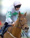 Best bets for today's racing from our Starform expert Steve Curry Best bets for today's racing from our Starform expert Steve Curry