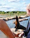 Nice day for a wild wedding Nice day for a wild wedding