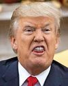 MAGA FURY OVER LEO'S DON DISSES