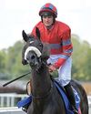 Star Form NUMBER ONE FOR RACING Star Form NUMBER ONE FOR RACING