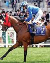 Best bets for today's racing from our Starform expert Steve Curry70