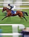 Best bets for today's racing from our Starform expert Steve Curry65