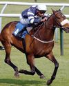 Best bets for today's racing from our Starform expert Steve Curry54