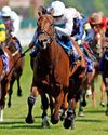 Best bets for today's racing from our Starform expert Steve Curry69