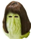 SHREDDED LETTUCE 222