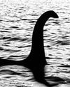 BUS FOR NESSIE..12