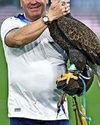 WILLY ROW FOOTIE BIRDMAN SENT OFF31