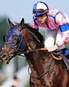 Best bets for today's racing from our Starform expert Peter Gomm51