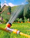 HOSEPIPE BAN FOR MILLIONS Daily Star