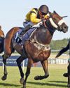 Best bets for today's racing from our Starform expert Steve Curry46