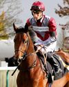 StarForm NUMBER ONE FOR RACING Daily Star