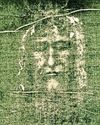 Boffs: Turin Shroud was on sculpture Daily Star