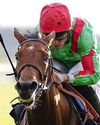 StarForm NUMBER ONE FOR RACING Daily Star