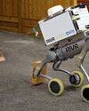 Robodog delivers a parcel on doorstep! Daily Star