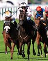 Best bets for today's racing from our Starform expert Peter Gomm Daily Star