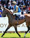 Best bets for today's racing from our Starform expert Peter Gomm Daily Star