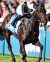 StarForm NUMBER ONE FOR RACING Daily Star
