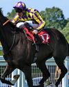 Best bets for today's racing from our Starform expert Jon Lees Daily Star