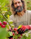 APPLES COR!34