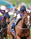 Dods' Ticker has the heart to succeed66