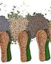SPOON FEEDING TO SAVE PLANET! SPOON FEEDING TO SAVE PLANET!48