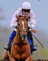 Best bets for today’s racing from our Starform expert Steve Curry81