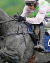 Loss a leader in Champ betting79
