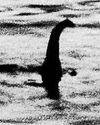 Millie on the trail of Nessie52