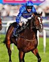 Best bets for today's racing from our Starform expert Steve Curry Best bets for today's racing from our Starform expert Steve Curry51