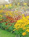 HOW TO PLANT UP A RAINBOW38