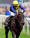Best bets for today's racing from our Starform expert Mark Storey42