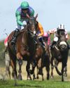 Best bets for today's racing from our Starform expert Steve Curry Best bets for today's racing from our Starform expert Steve Curry65