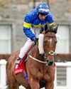 Best bets for today's racing from our Starform expert Mark Storey Best bets for today's racing from our Starform expert Mark Storey71