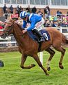 Best bets for today's racing from our Starform expert Mark Storey55