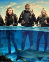 IN FOR A SHARK New UK