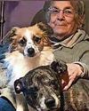 OAP and her dogs perish in horror fire