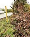 Teen driver's guilt at triple death crash26