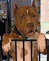 Cops right to shoot dead 2 XL Bullies, says probe14