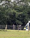 Skydive death fall caught on camera38