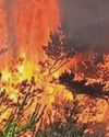 WILDFIRES ARE NOW A RISK TO LIFE1