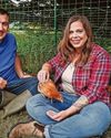 Clucky numbers Daily Record