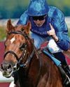 SET FOR NOTABLE RESULT Daily Record