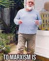 ALEXEI SAYLE Daily Record