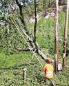 Thousands suffer second night cut off after storm Daily Record