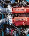 TWINNING FORMULA49