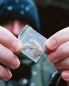 HEROIN HOTSPOT WHERE TOURISTS STROLL BESIDE WALKING DEAD30