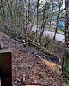 Man and boy found in car crash wreck23
