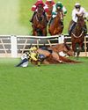 Ace was queen in crazy flaw show but can she do it again?70